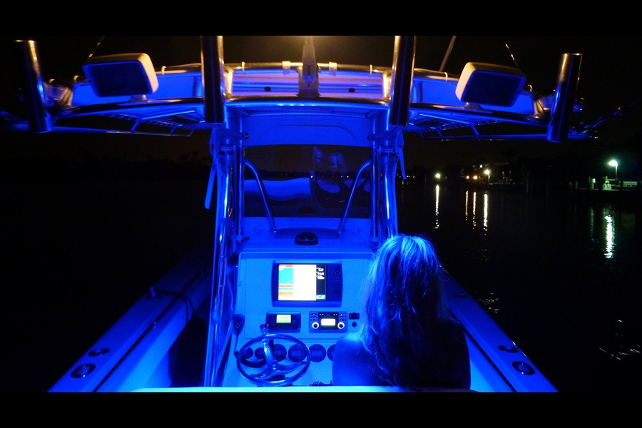 Skipper and Blue Lights